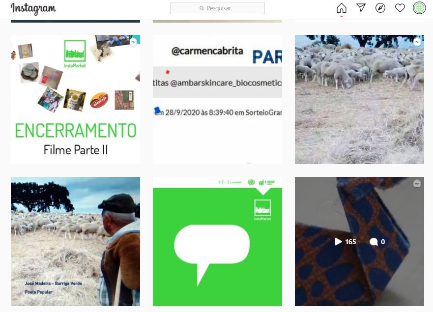 Algumas actividades Small Business Insta Market