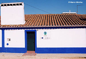 Sede