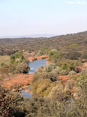 Rio Deg&eacute;be