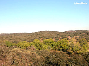 Rio Deg&eacute;be