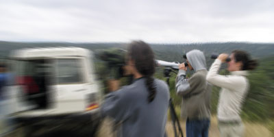 Observação de Aves