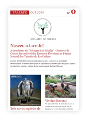 TARRAFE - A newsletter do "Nô matu i nô firkidja"